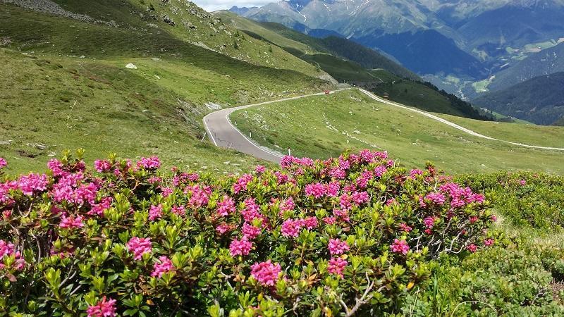Pension Schoenblick カンポ・ディ・トレンス エクステリア 写真
